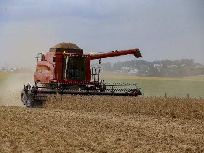 Com estiagem, agricultura paranaense estima redução nas safras de soja, milho e feijão