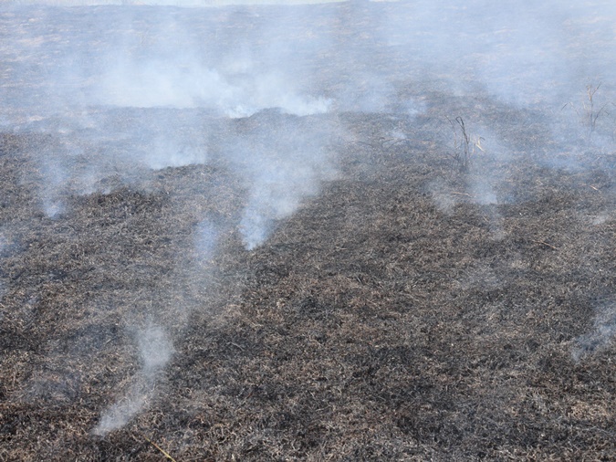 Incêndio é registrado na Linha Dona Oliva, interior de Santa Helena