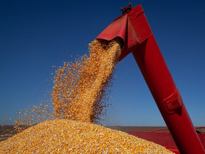 Com alta na área de milho, safra de grãos pode crescer 6,4%, estima Conab