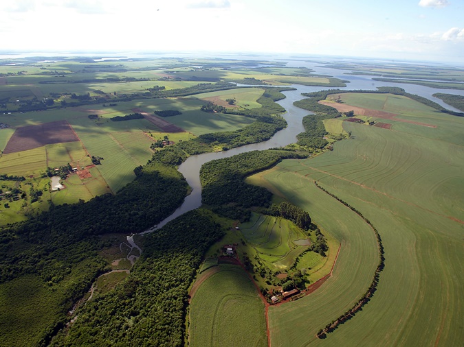 Governo do Paraná lança cartilhas de educação ambiental sobre fauna e turismo ecológico