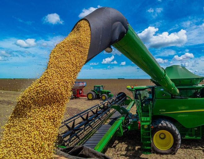 Colheita de soja atinge 25% da área semeada no Paraná, afirma Deral