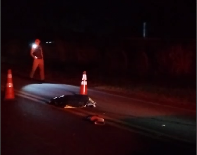 Motociclista morre ao colidir com Corolla e ser arrastado por outro veículo na PR-495, em Missal